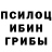 Псилоцибиновые грибы мицелий Sir Goblin