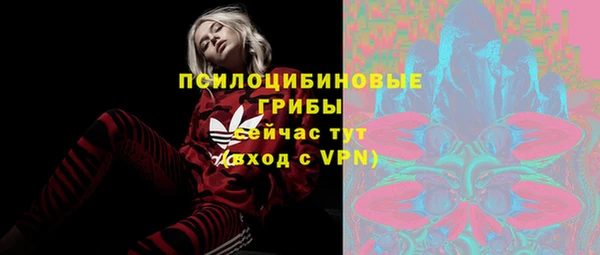 амф Кулебаки