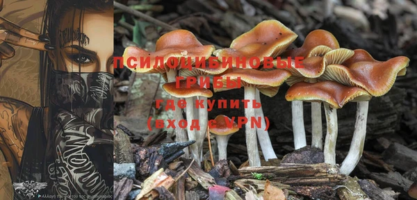 МДПВ Куйбышев