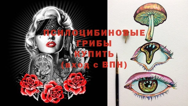МДПВ Куйбышев