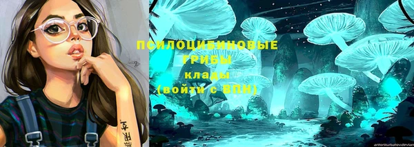 МДПВ Куйбышев