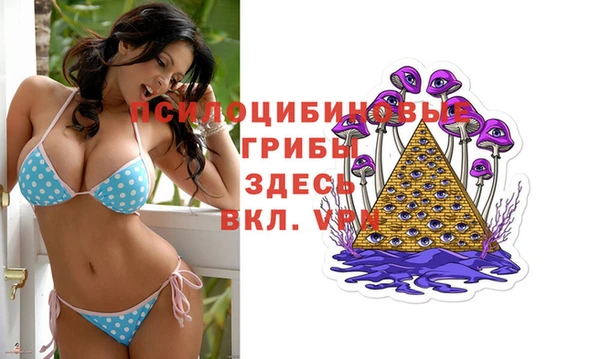 амф Кулебаки