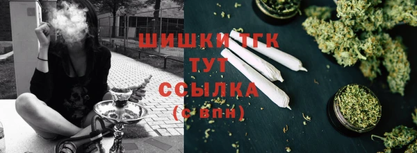 амф Кулебаки