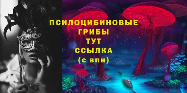 амф Кулебаки