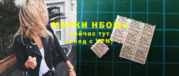 амф Кулебаки
