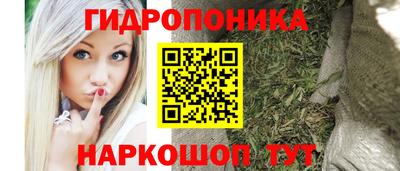 apvp Беслан