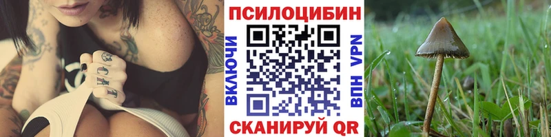 MEGA онион  дарк нет как зайти  Псилоцибиновые грибы MAGIC MUSHROOMS  Железноводск 