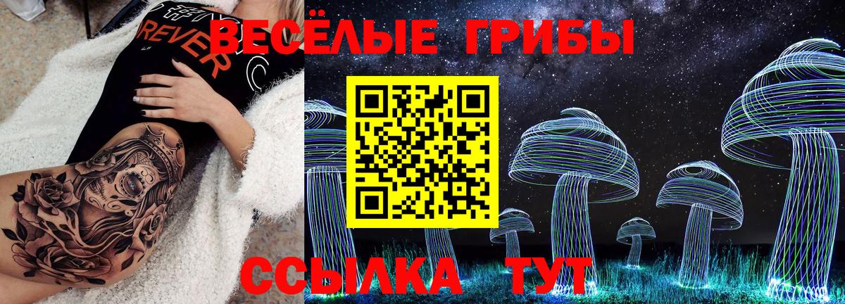 Псилоцибиновые грибы Psilocybine cubensis Железноводск