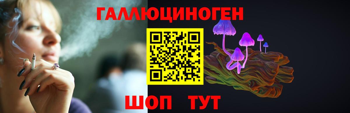 Галлюциногенные грибы прущие грибы Железноводск